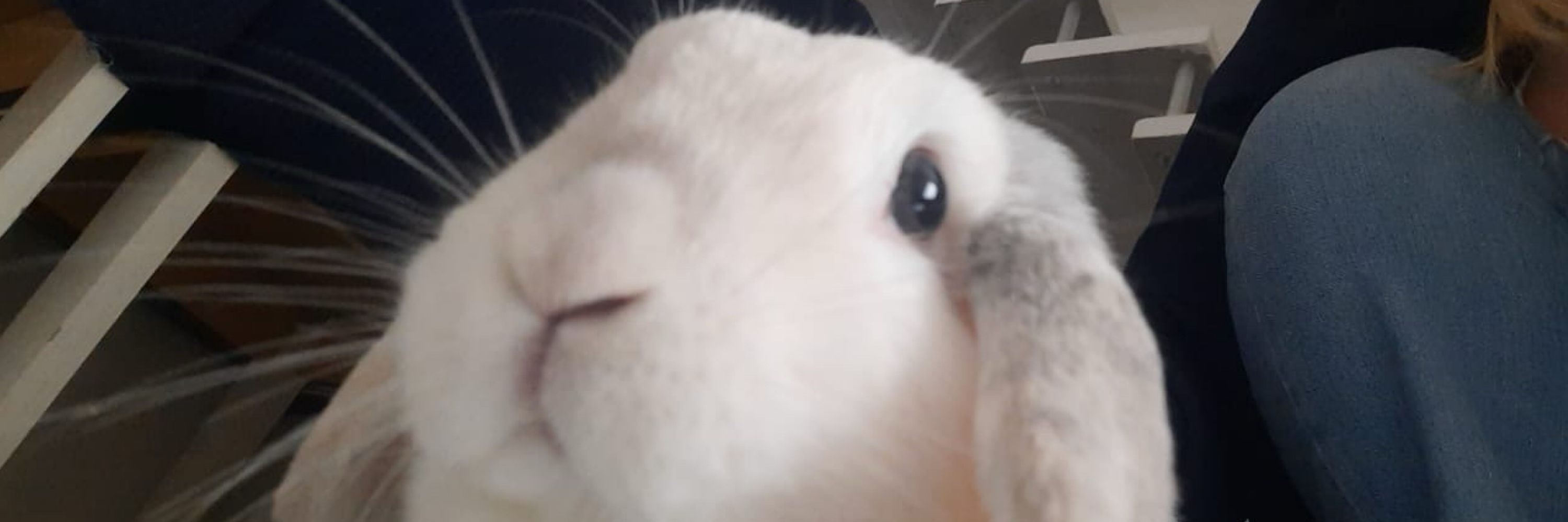mimi 🧸