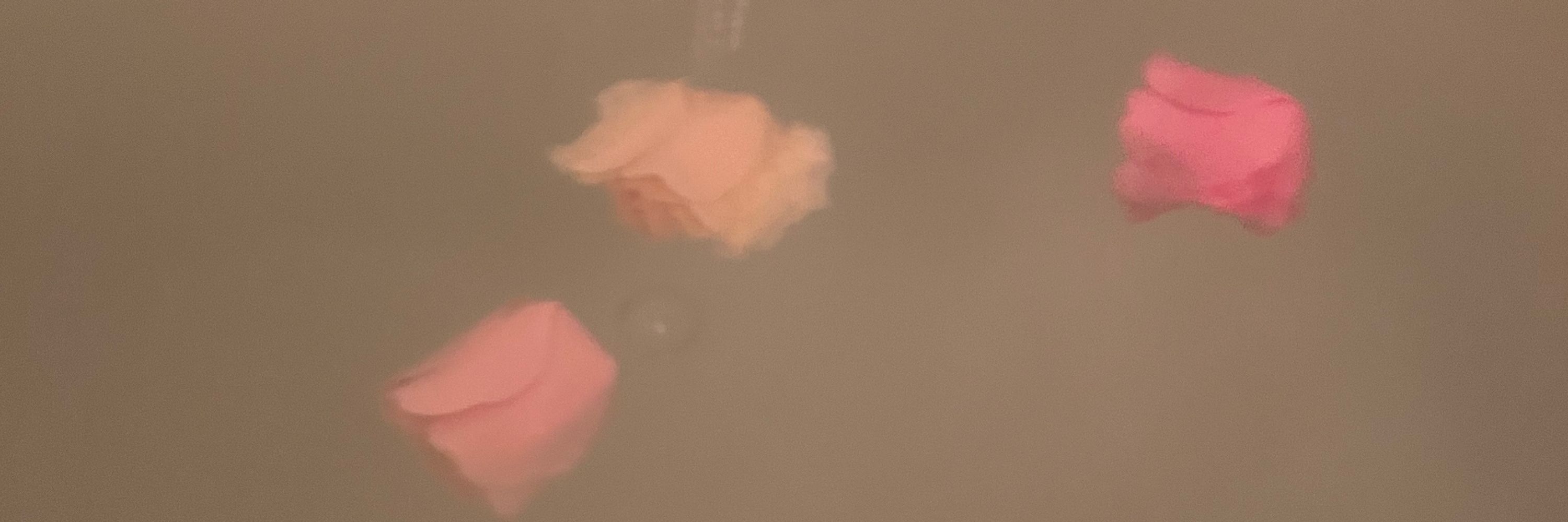 わた