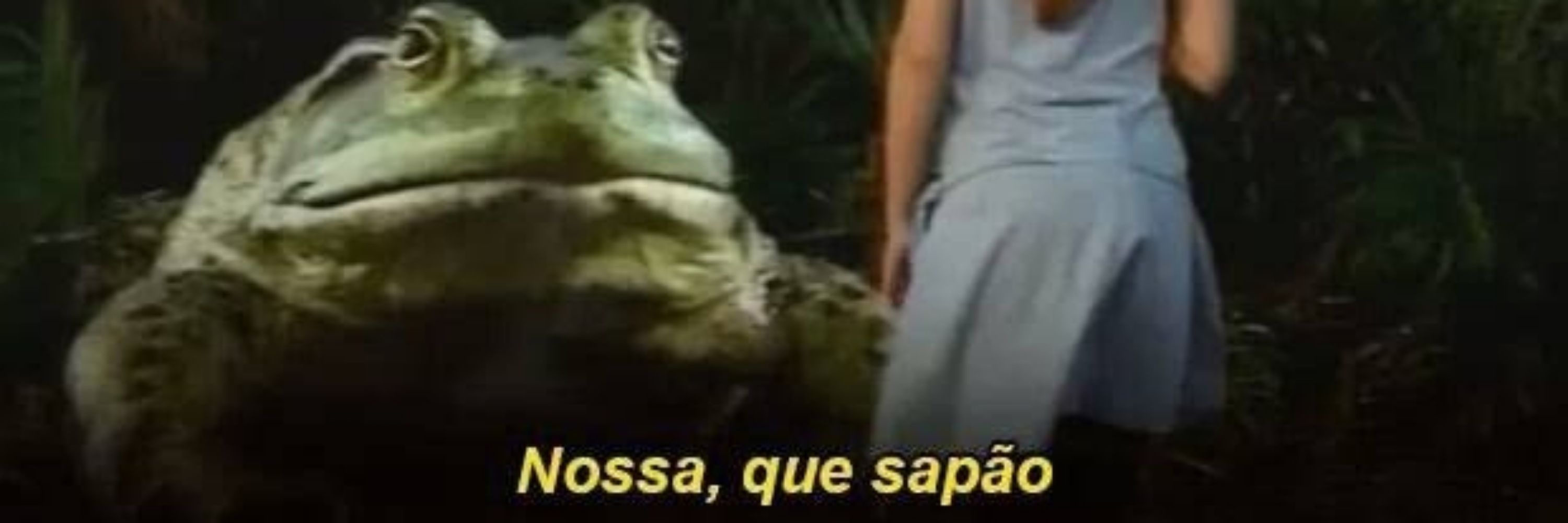 Azeite