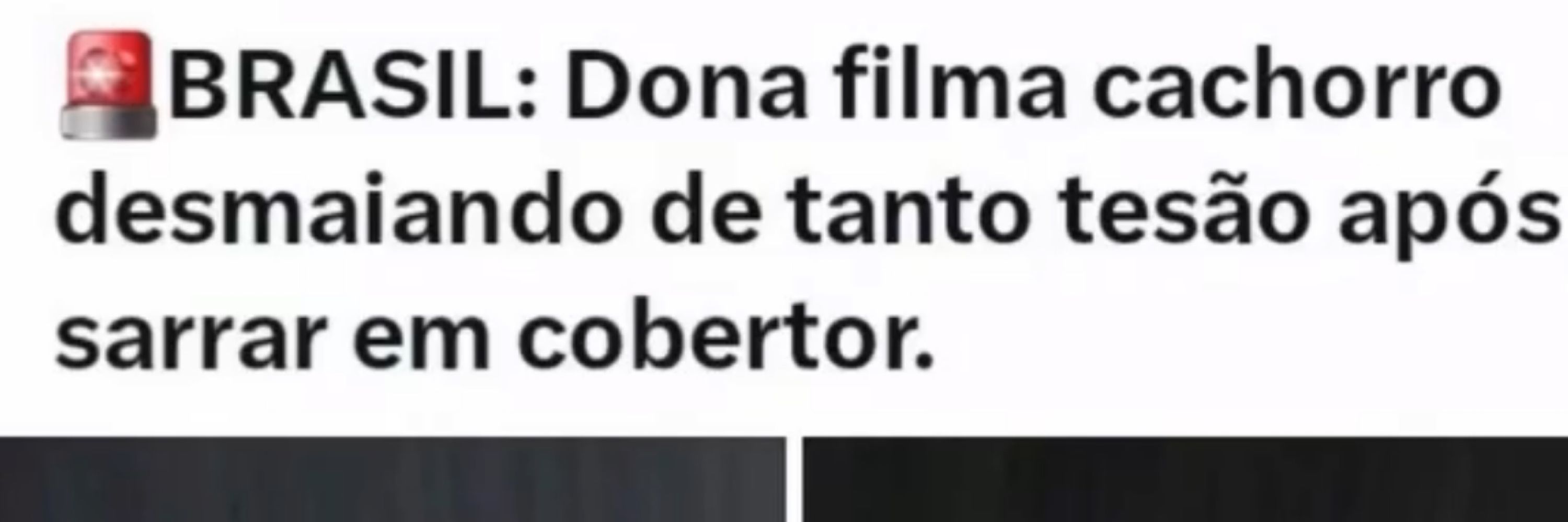 Mateus Pereira
