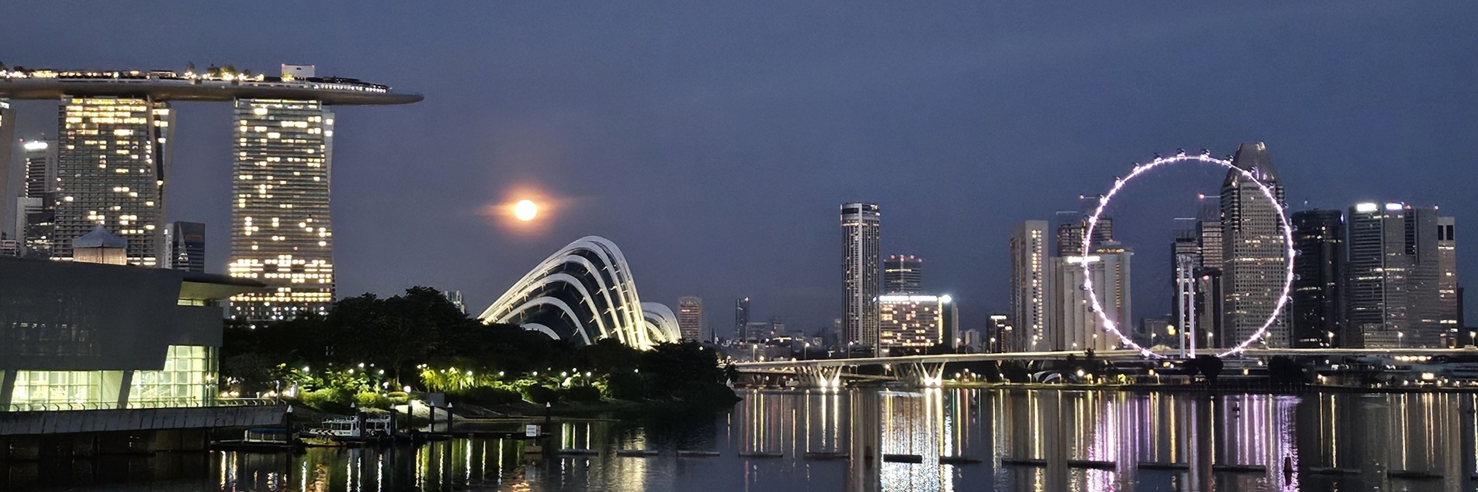 Society for Cell Biology Singapore