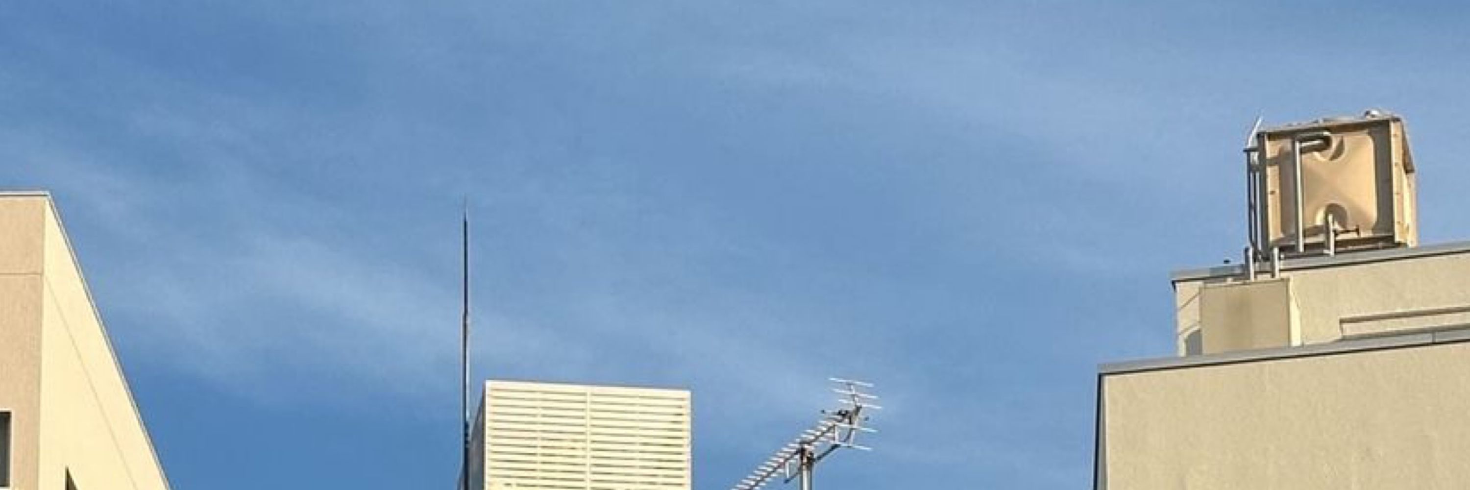 田口