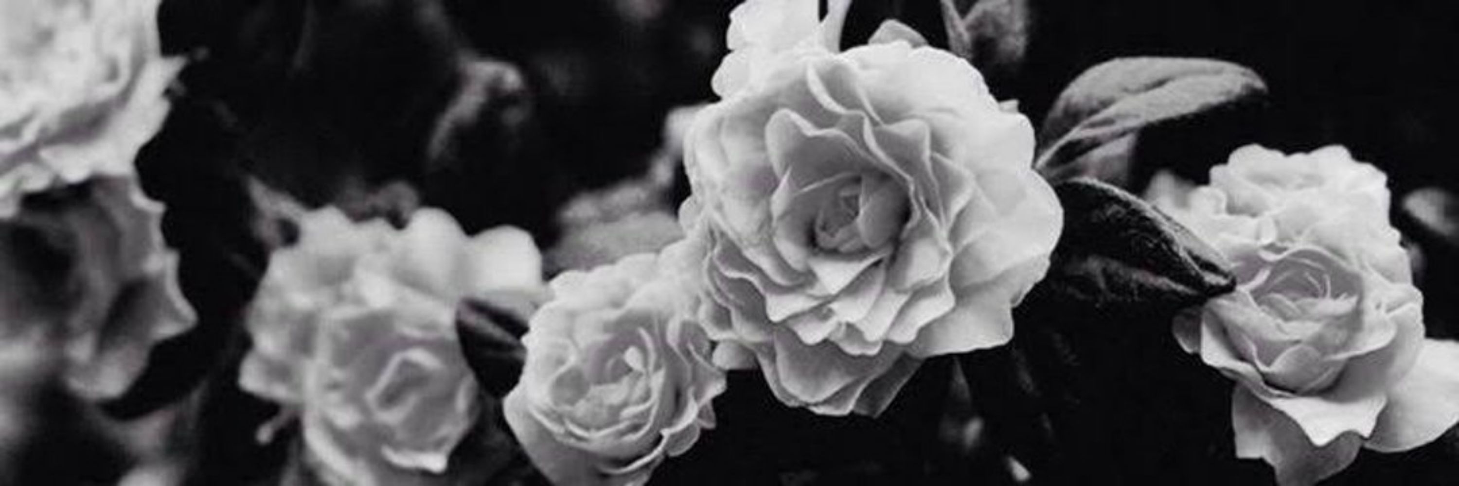 𝐥𝐢𝐚𝐧 🪐 `° fsr; on wa ♡
