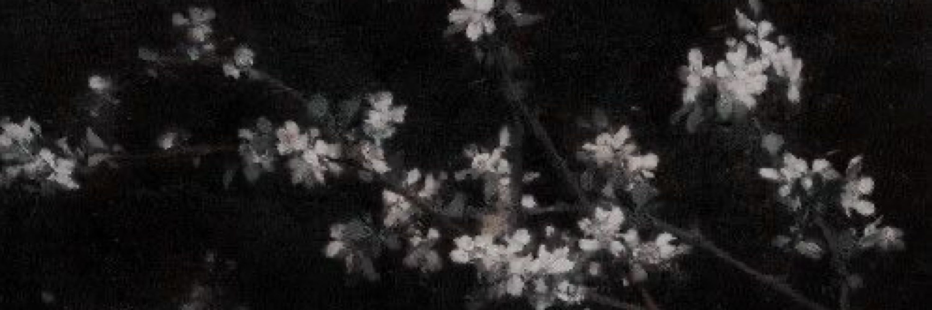 가을🍂