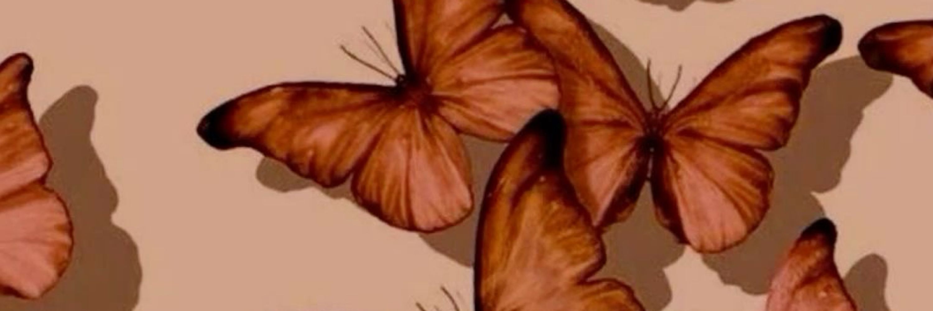Michille 🦋