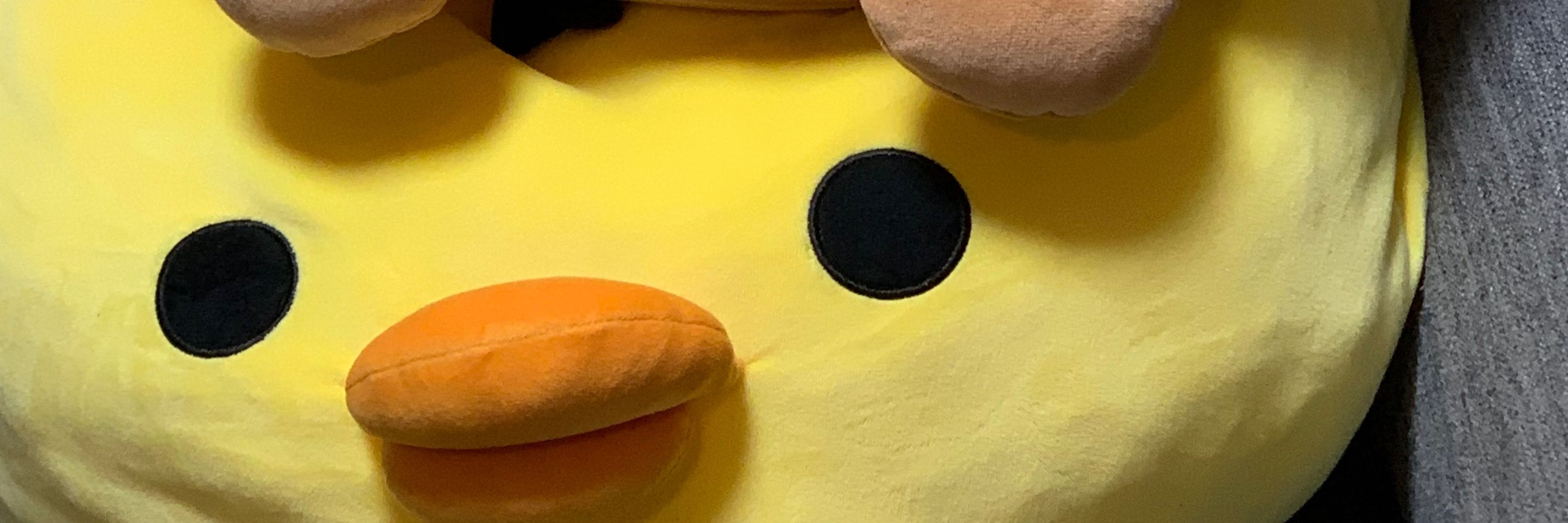 きさら