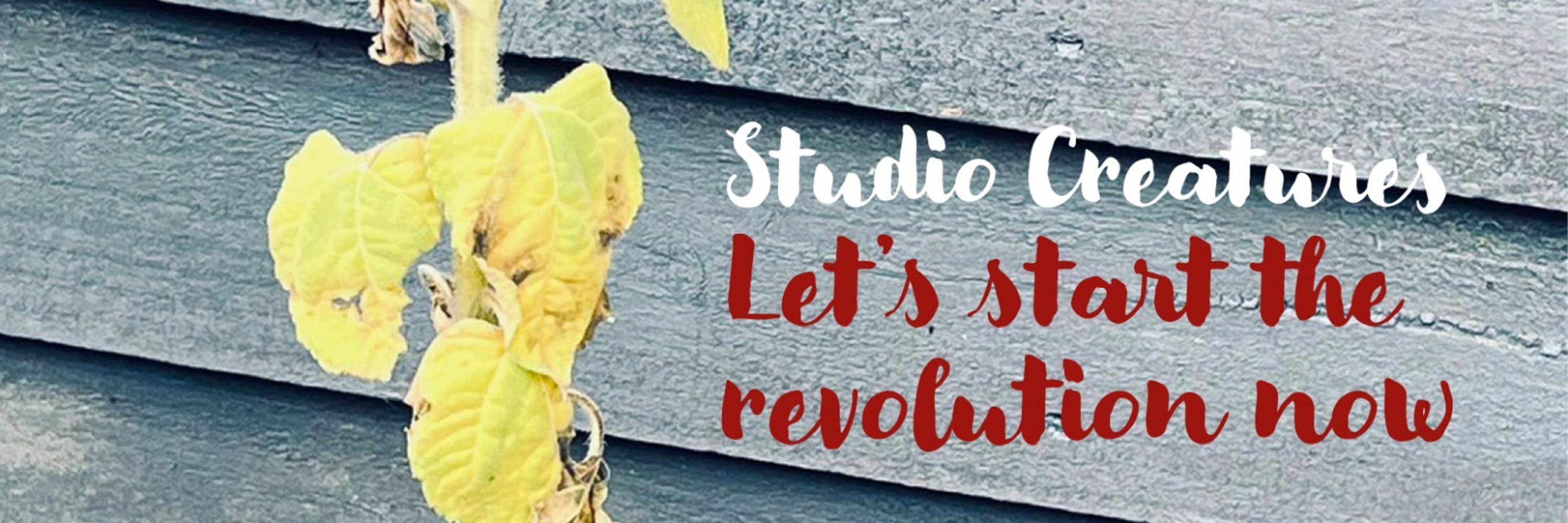 Studio Creatures
