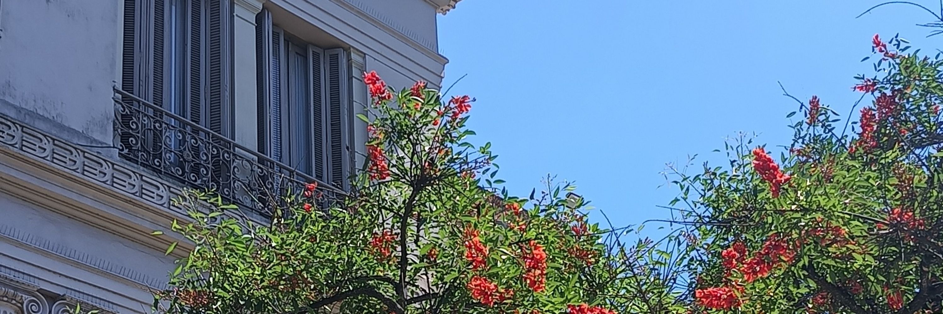 Flora Dosil Hiriart