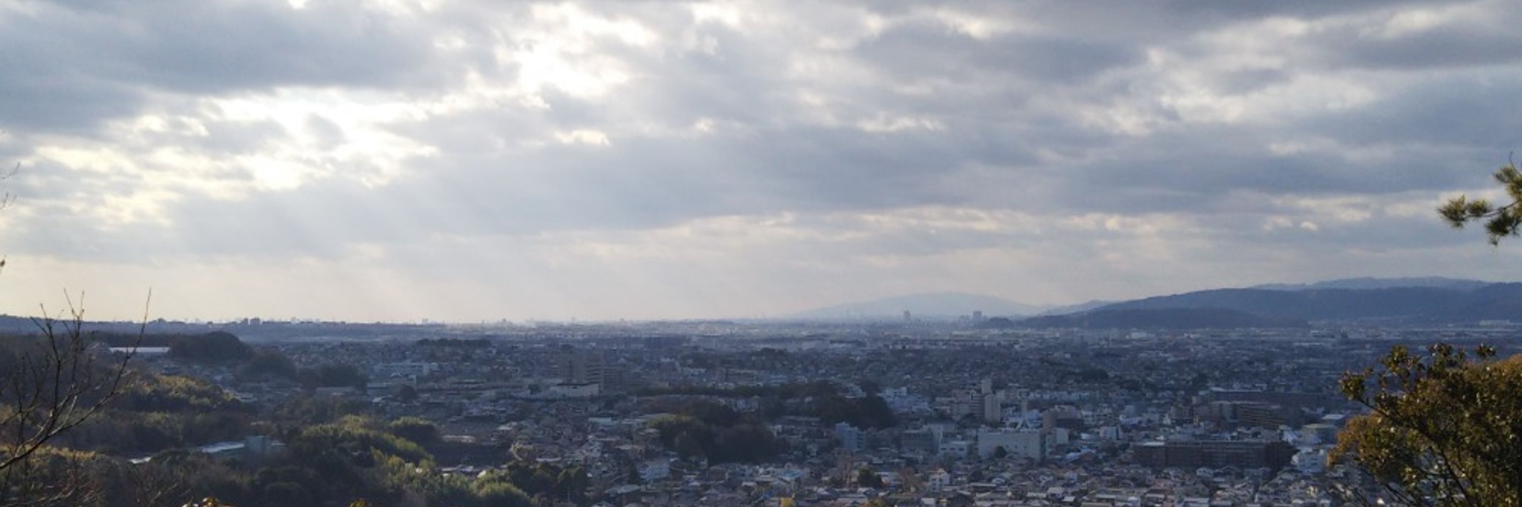 三階松