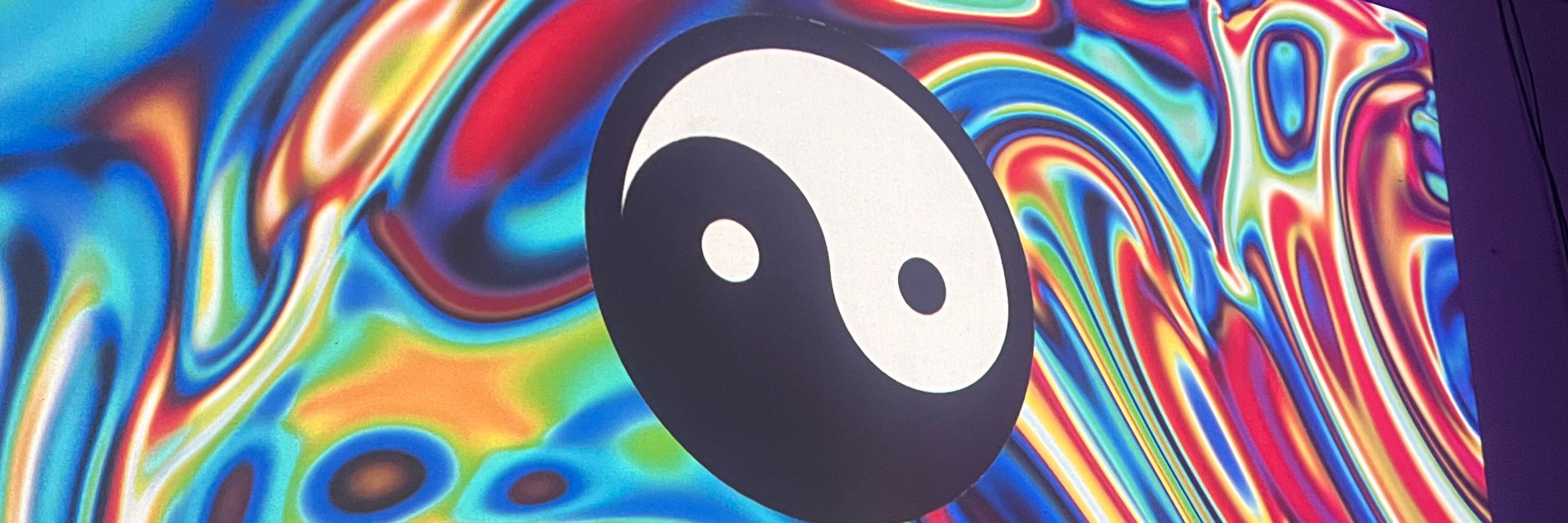 DAO Maximalist