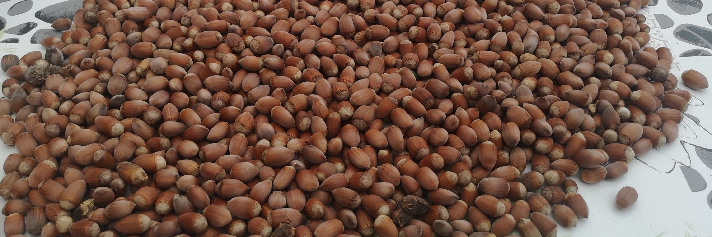 PigeOff