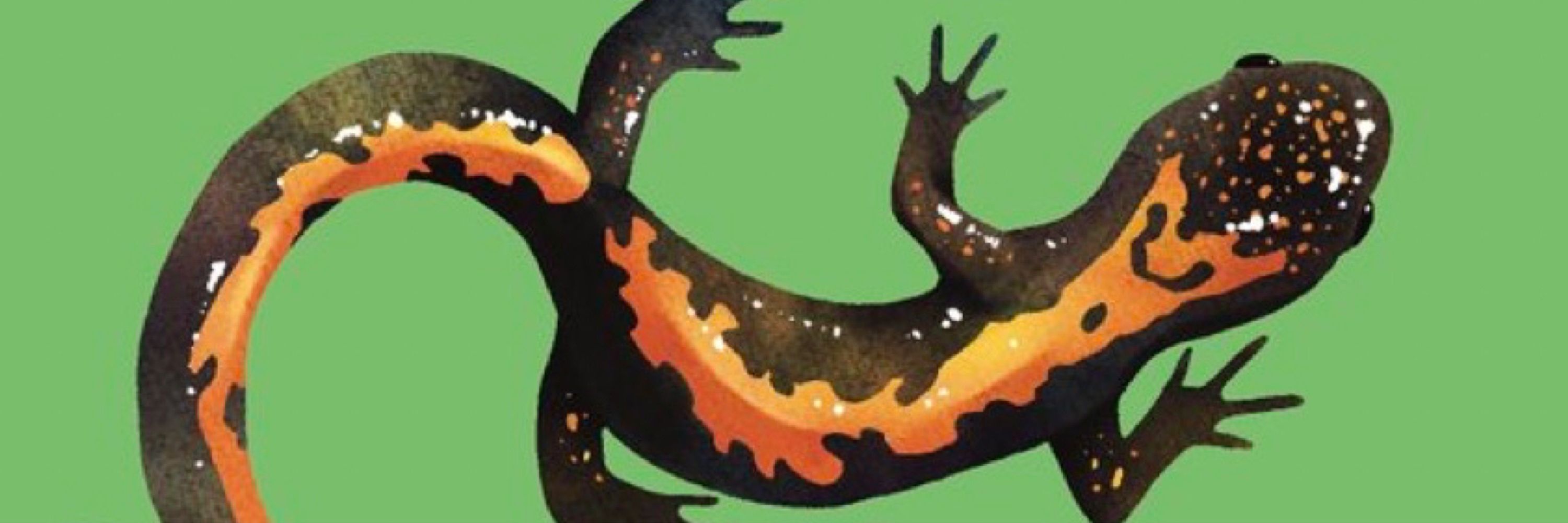 丹汰🐍