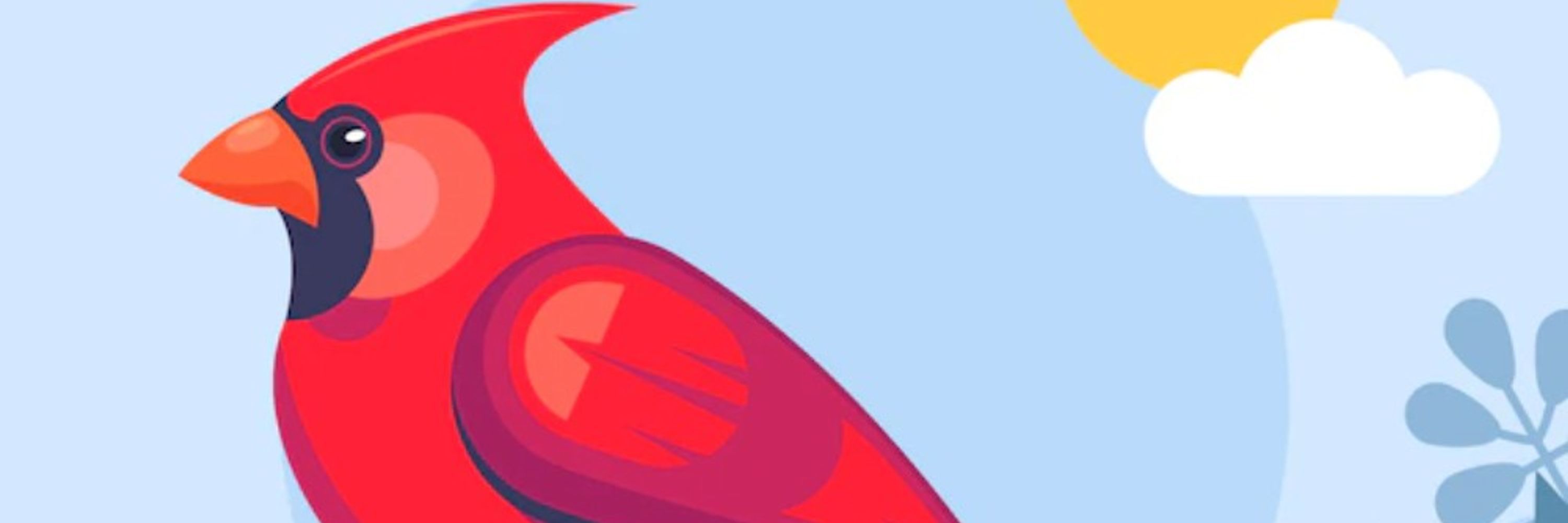 DCRedbird