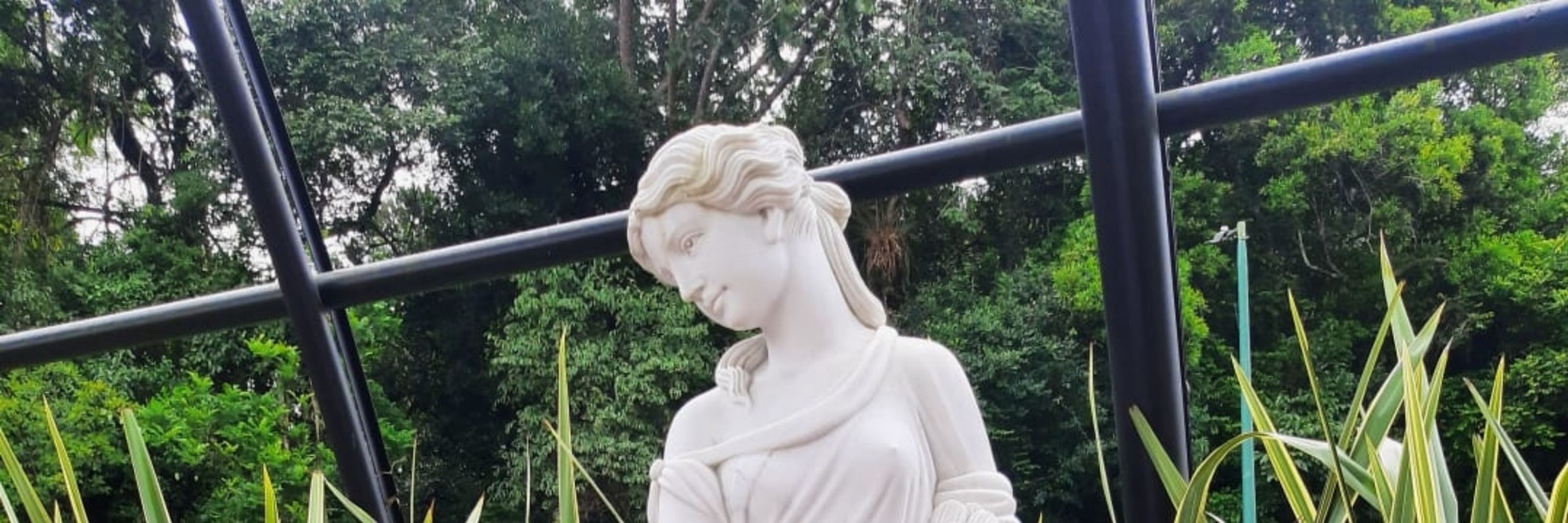 Dariney Júnior 
