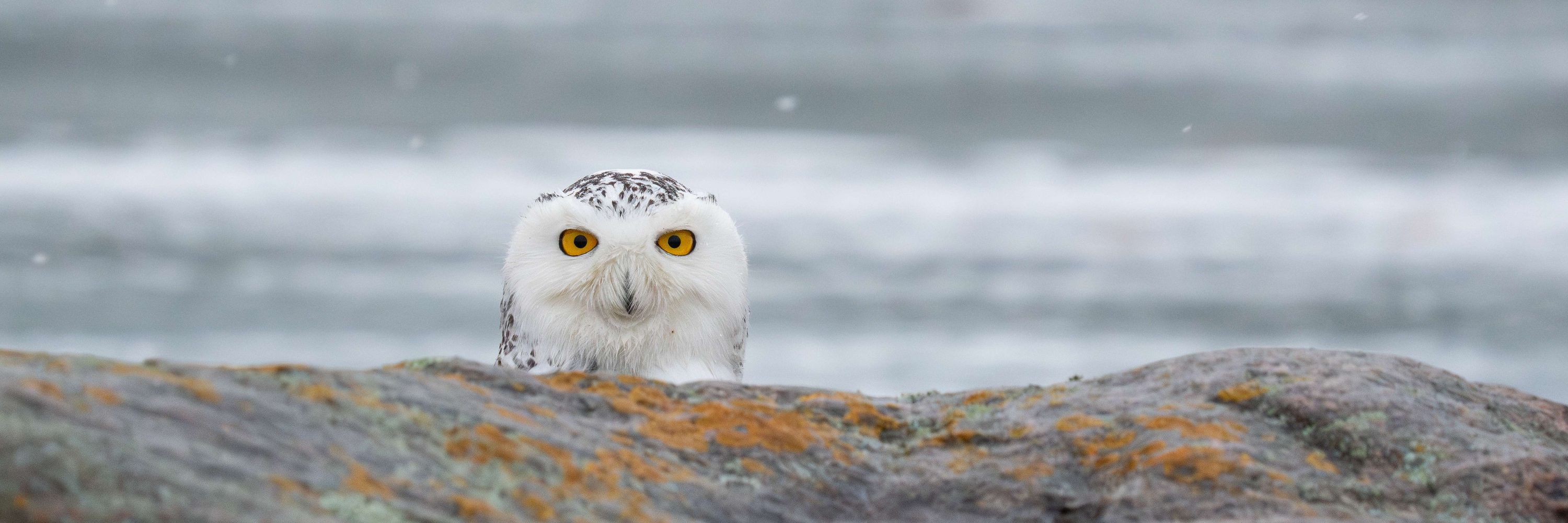 Canadian Geographic