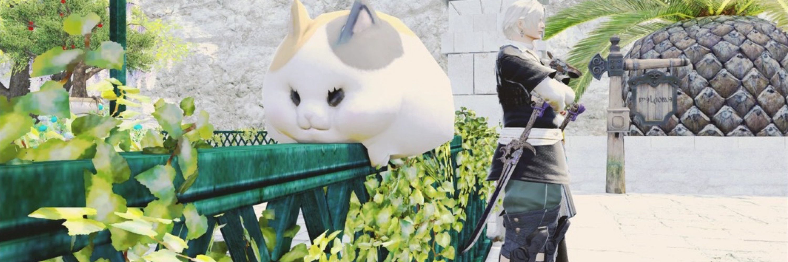 ひの