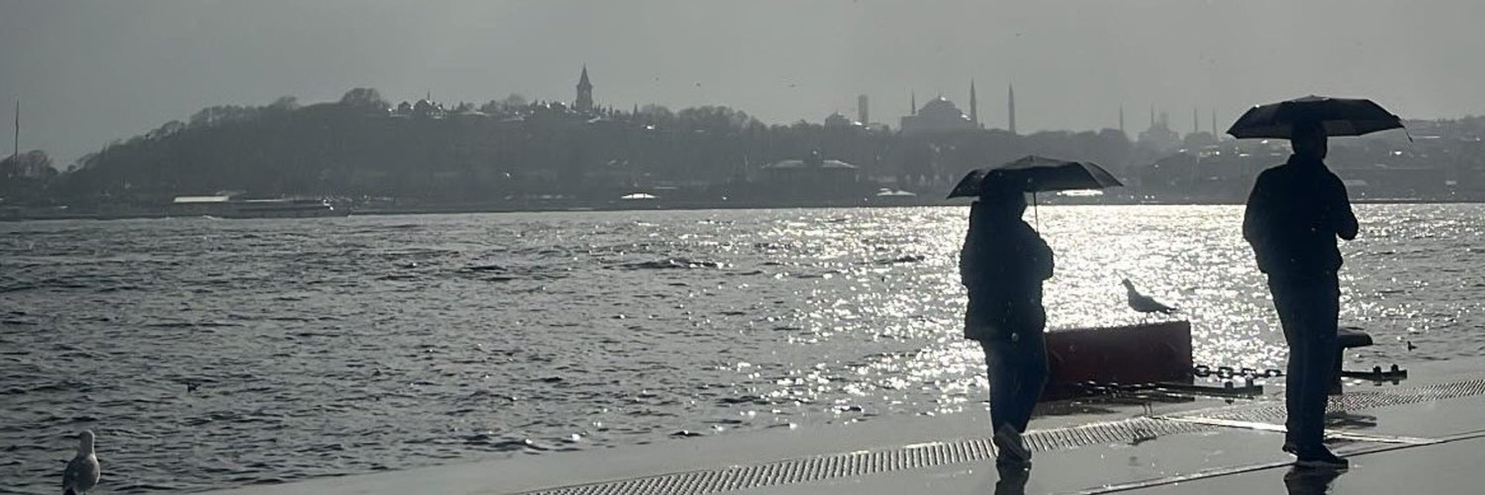 Volkan Aslan