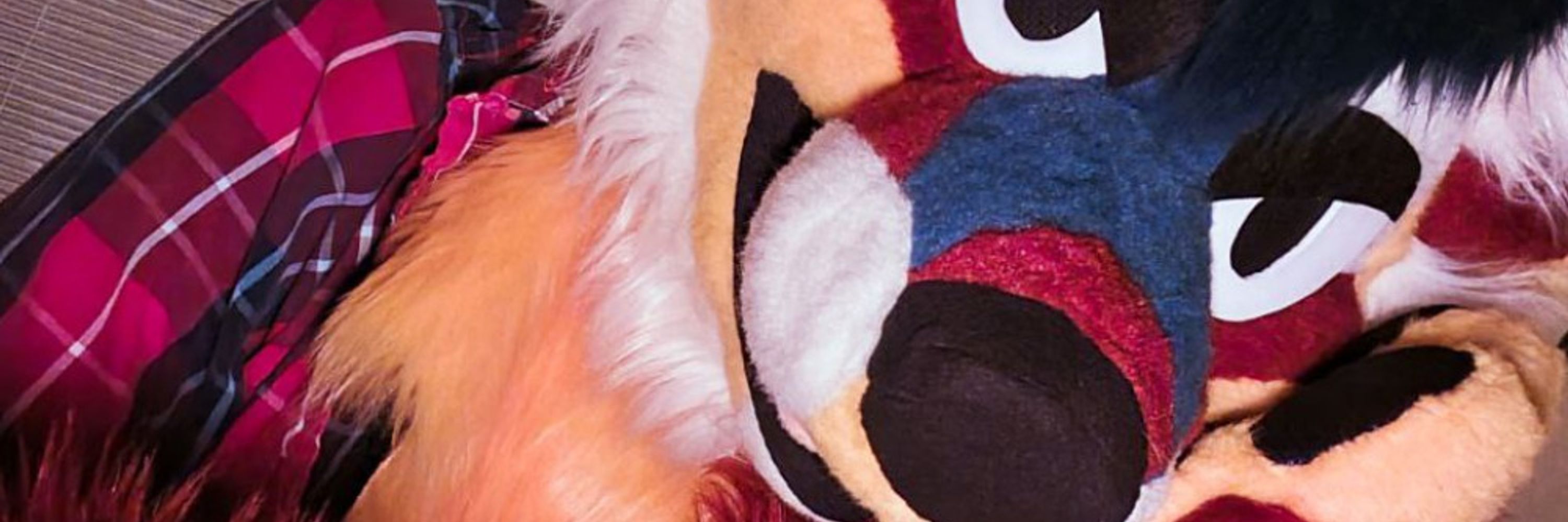 DickTheYote🔜FWA