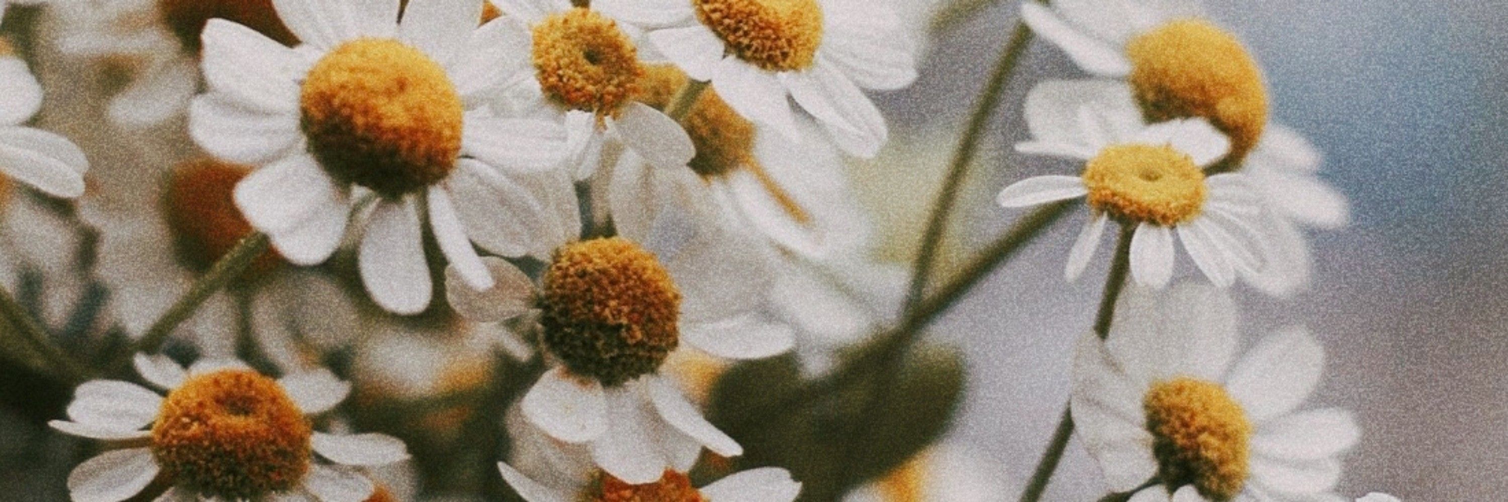 ꯱ׁׅ֒𝓮𝓸𝓵𝓵𝓲𝓮🎀