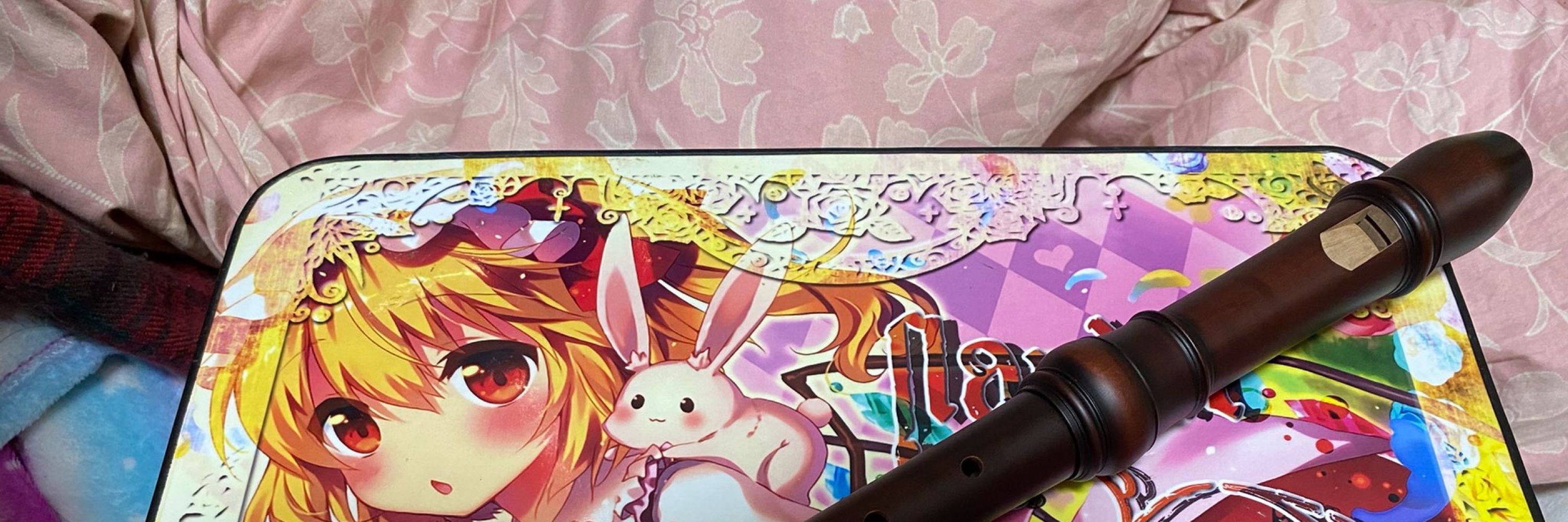 爬虫類好きリコーダー好きのフランちゃんP(いちた るみ)