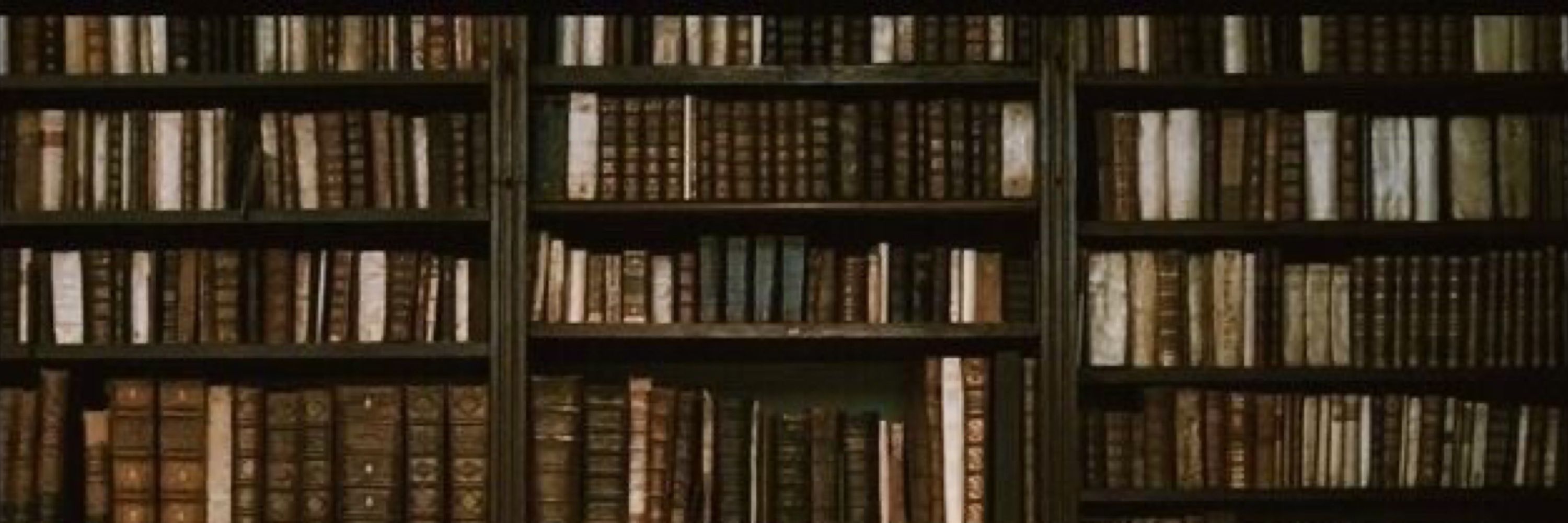 Vick 📖