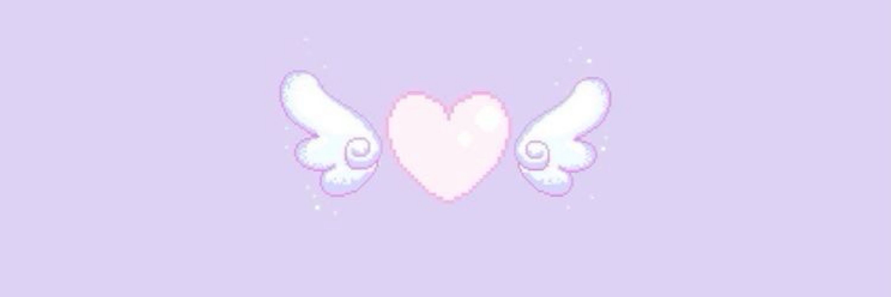 ♡₊˚ 🦢・₊✧𐦍