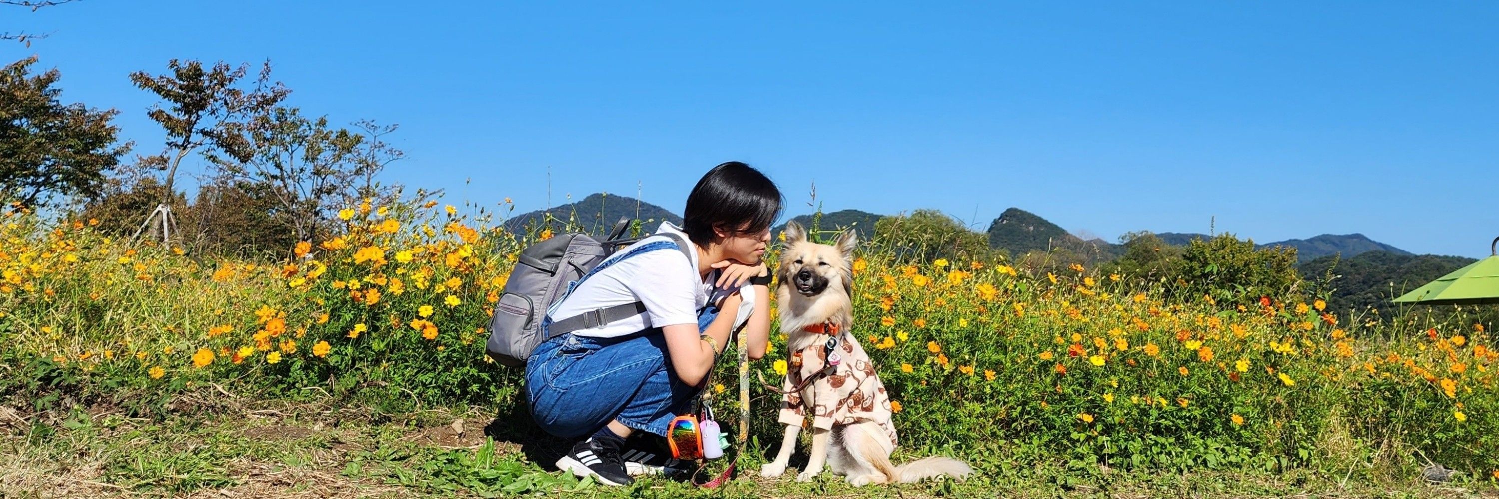 페퍼펲퍼뻽뻐