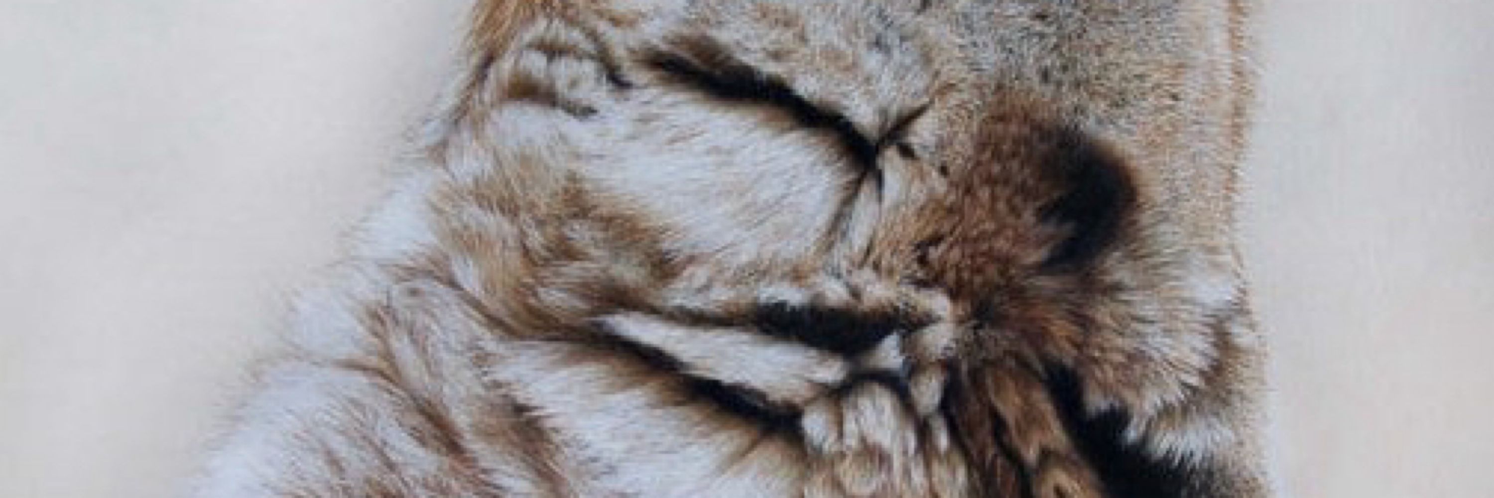 Aenocyon Dirus
