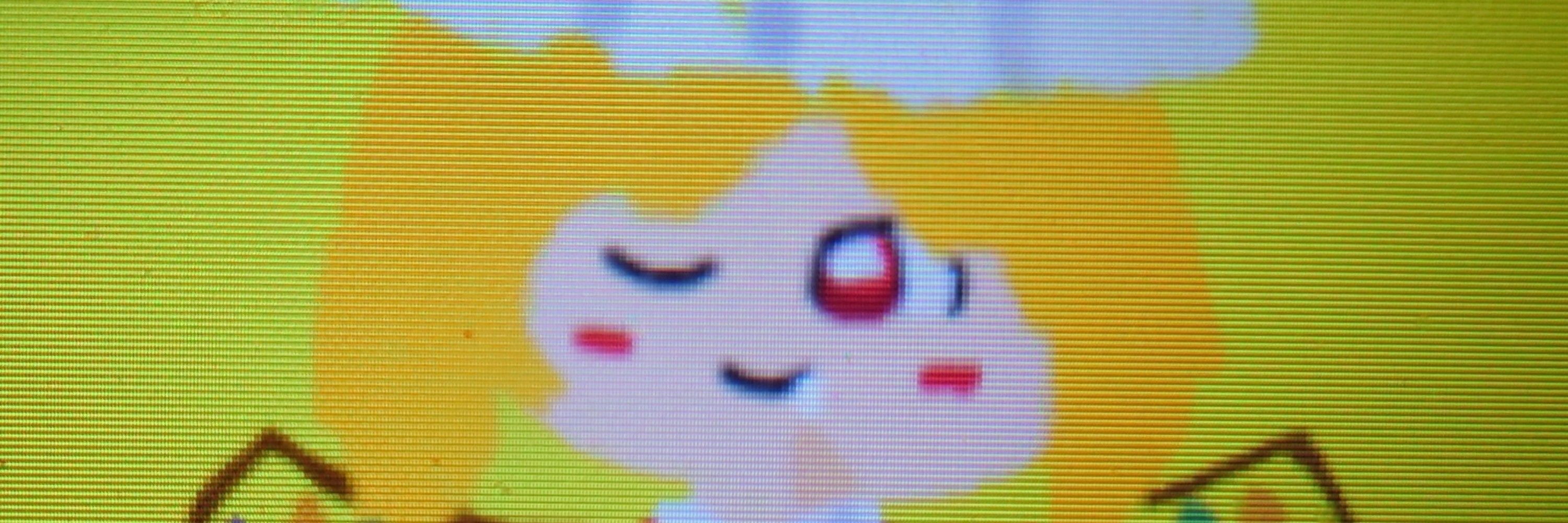 ゆっくりカービィ ブル垢用