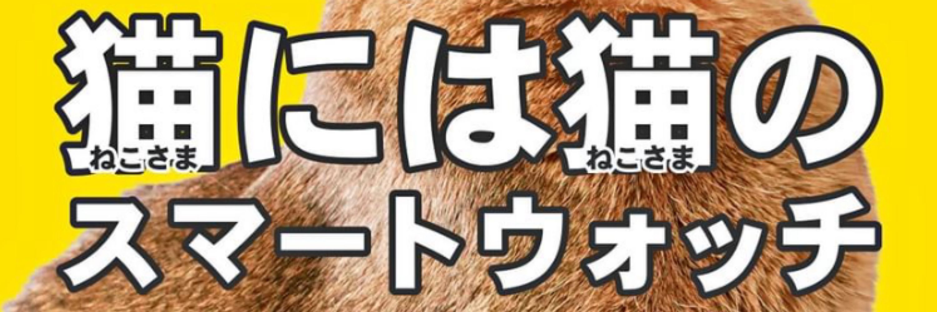 はなわ