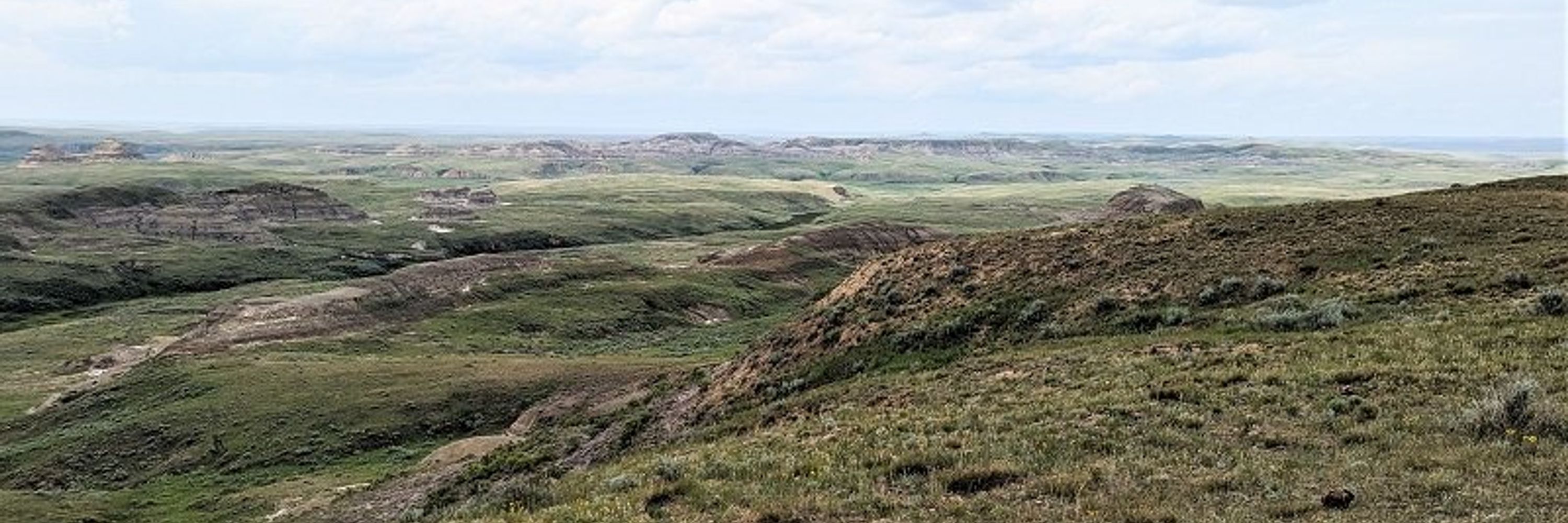 Search and Rescue Regina