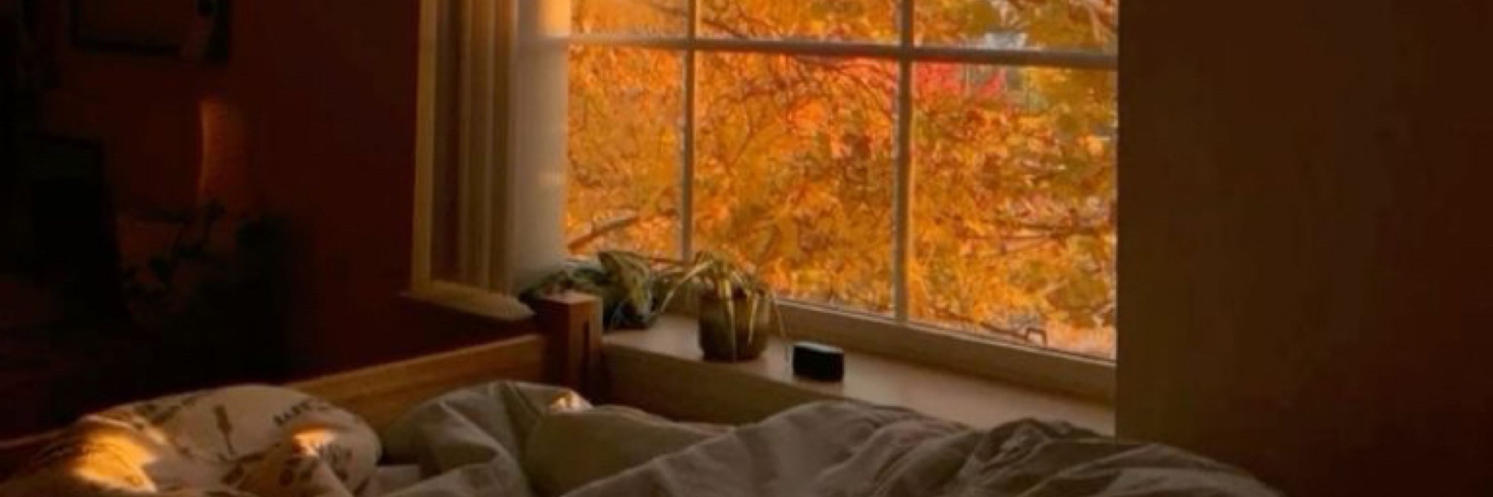 정우🍂