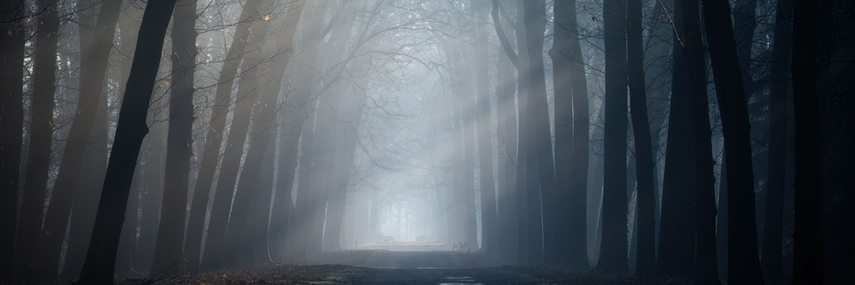 Zelden zo mooi gezien!