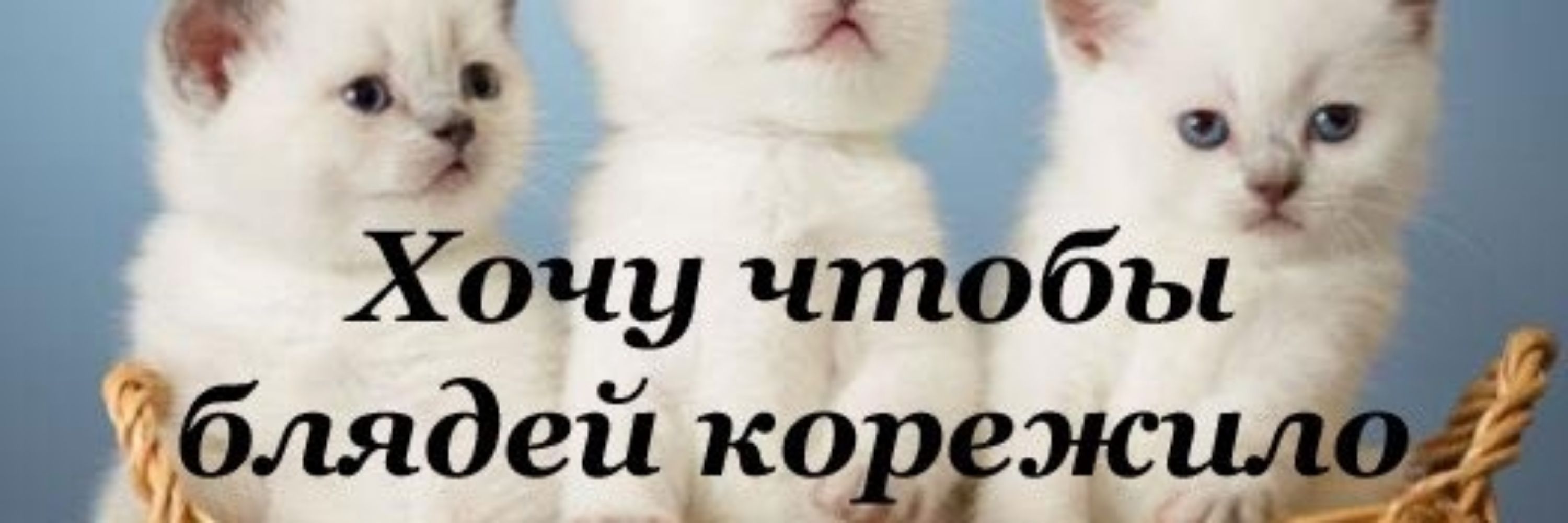 Изодед(инсайд)