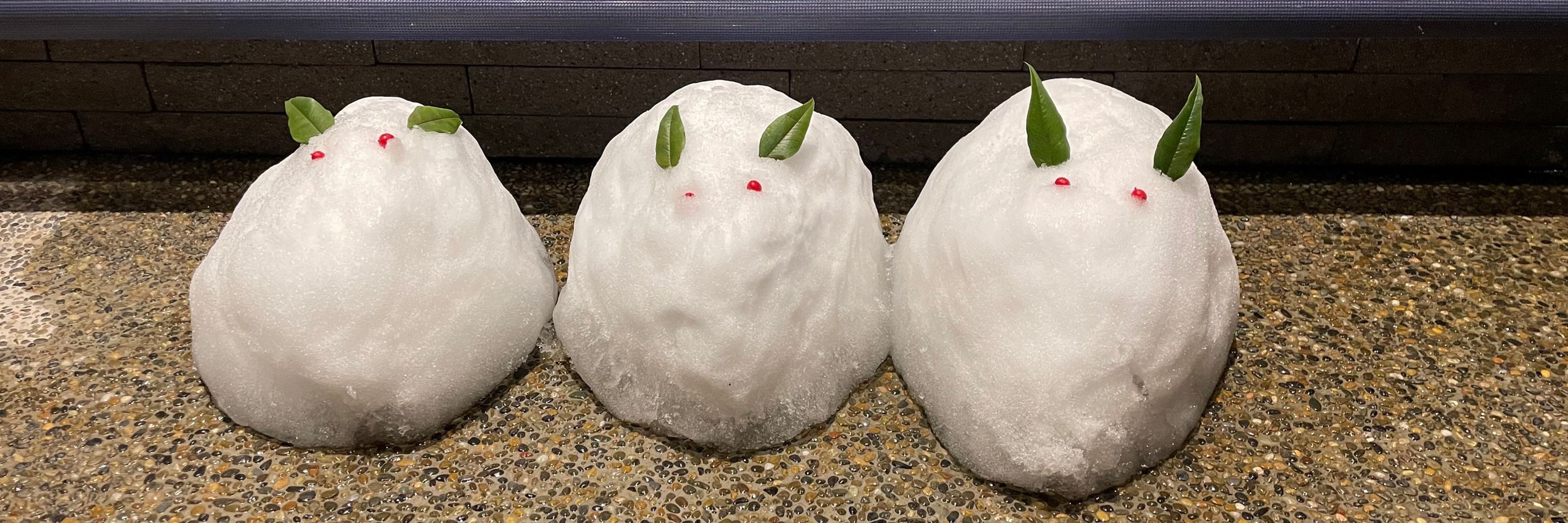 須磨トラ