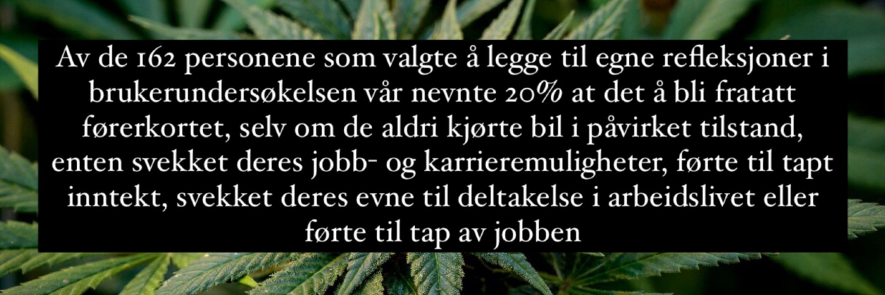 André Nilsen