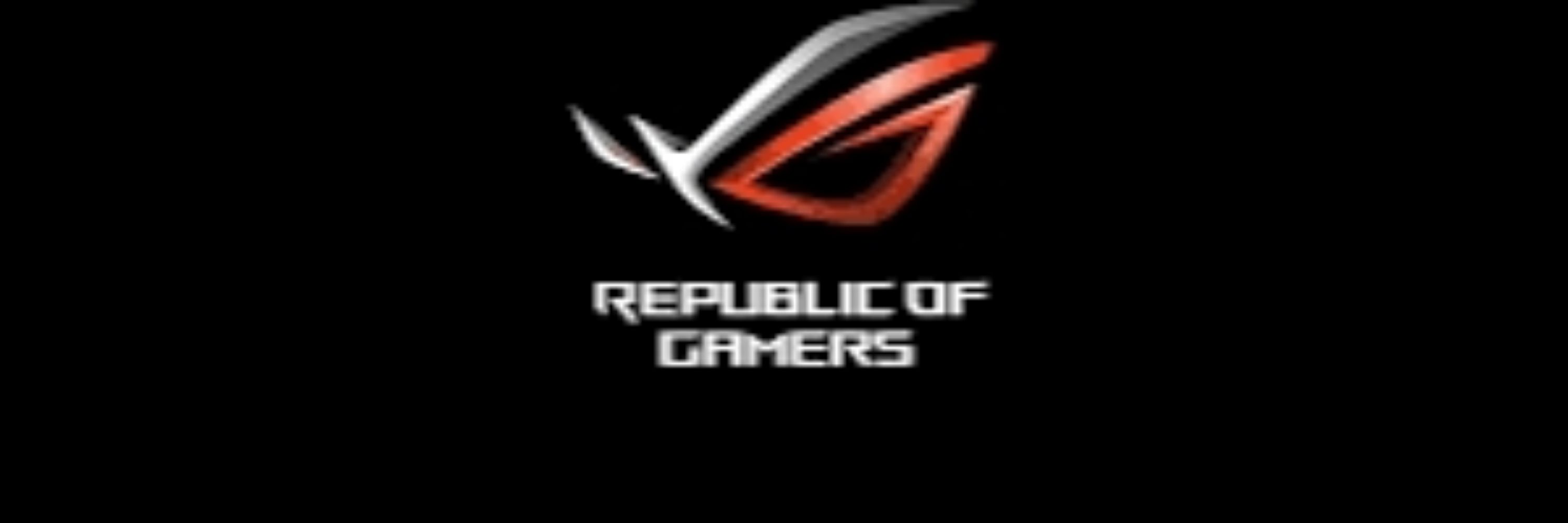 Rog Ally