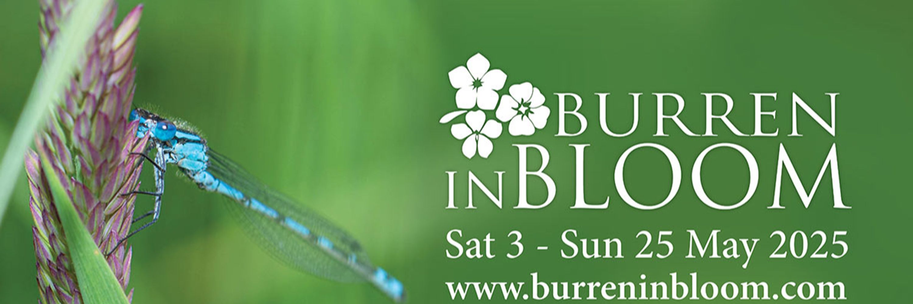 Burrenbeo Trust