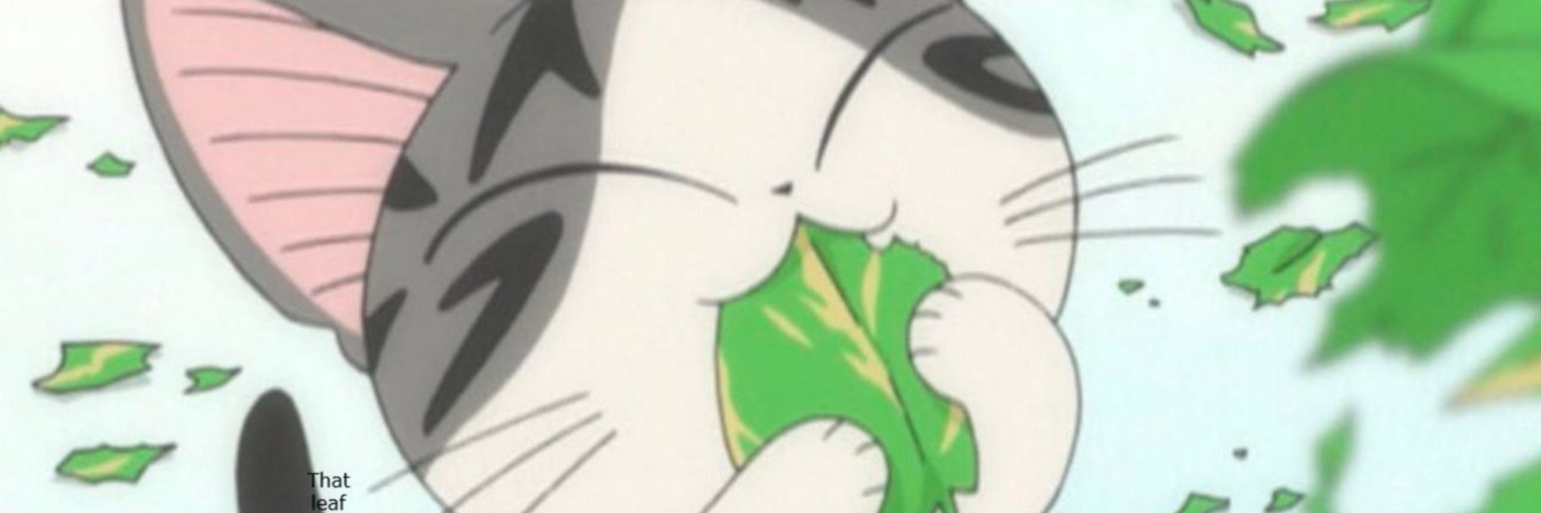 Ray