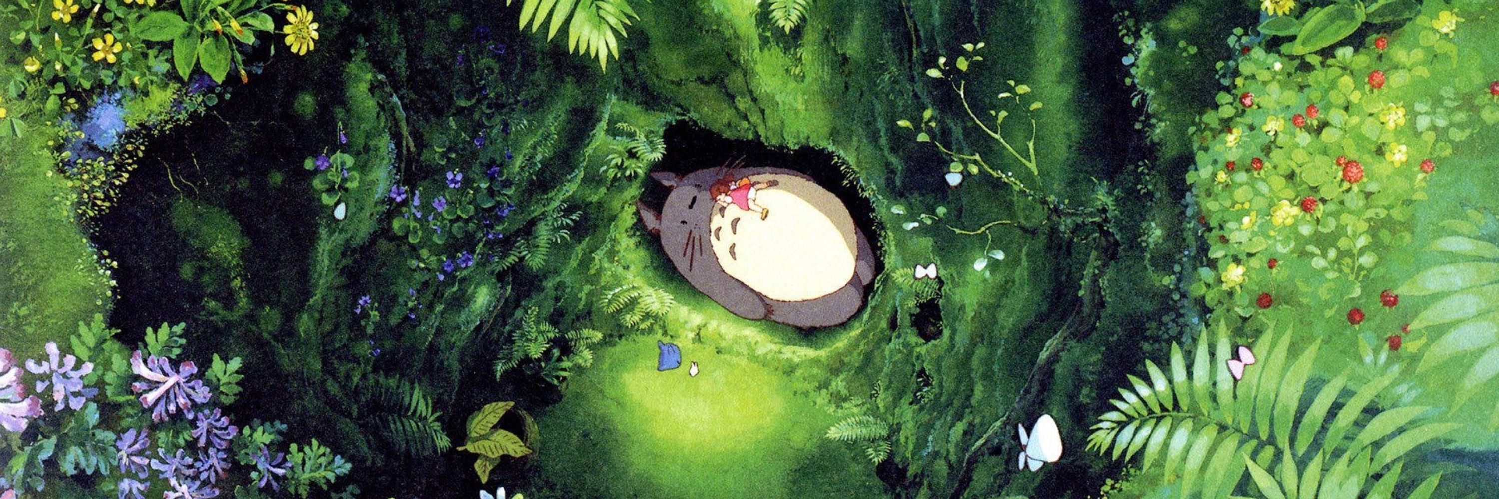 yourneighbourtotoro