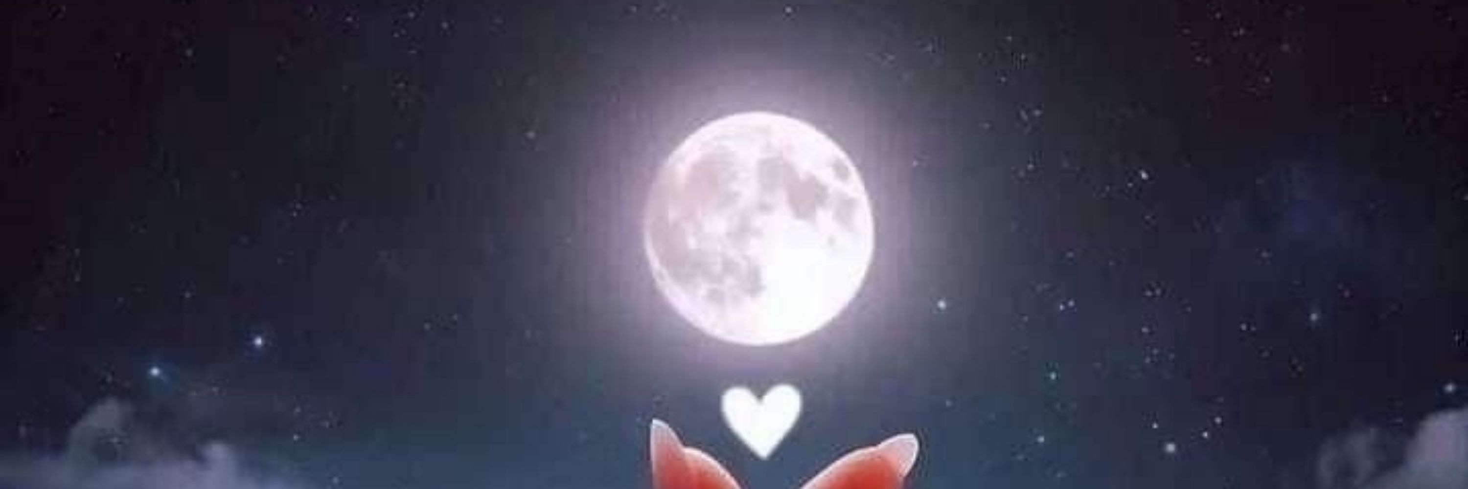 چکور 🪶