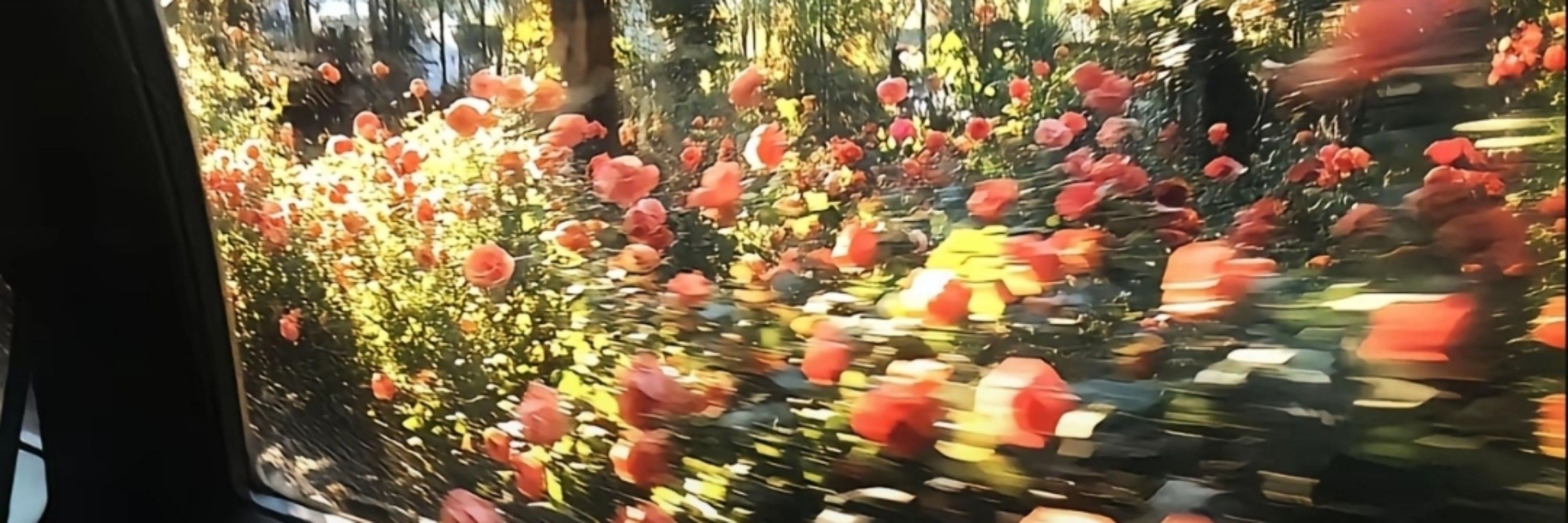 𝓱𝓪𝓷𝓮𝓷𝓰