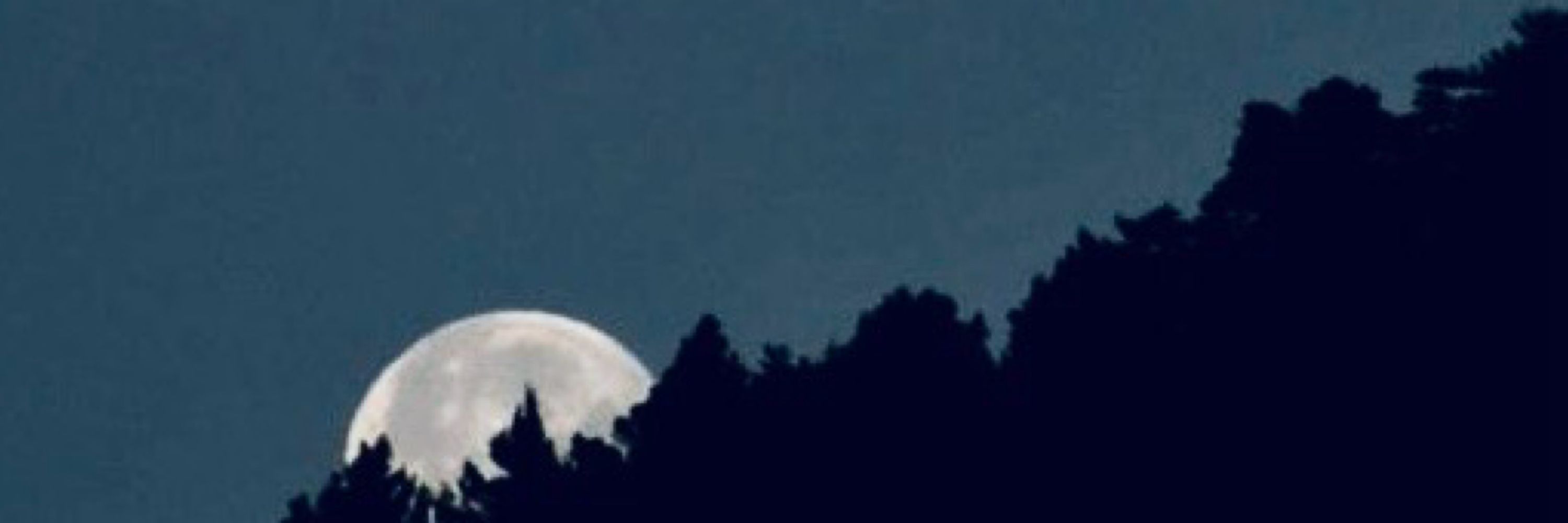 Cold Moon Journal