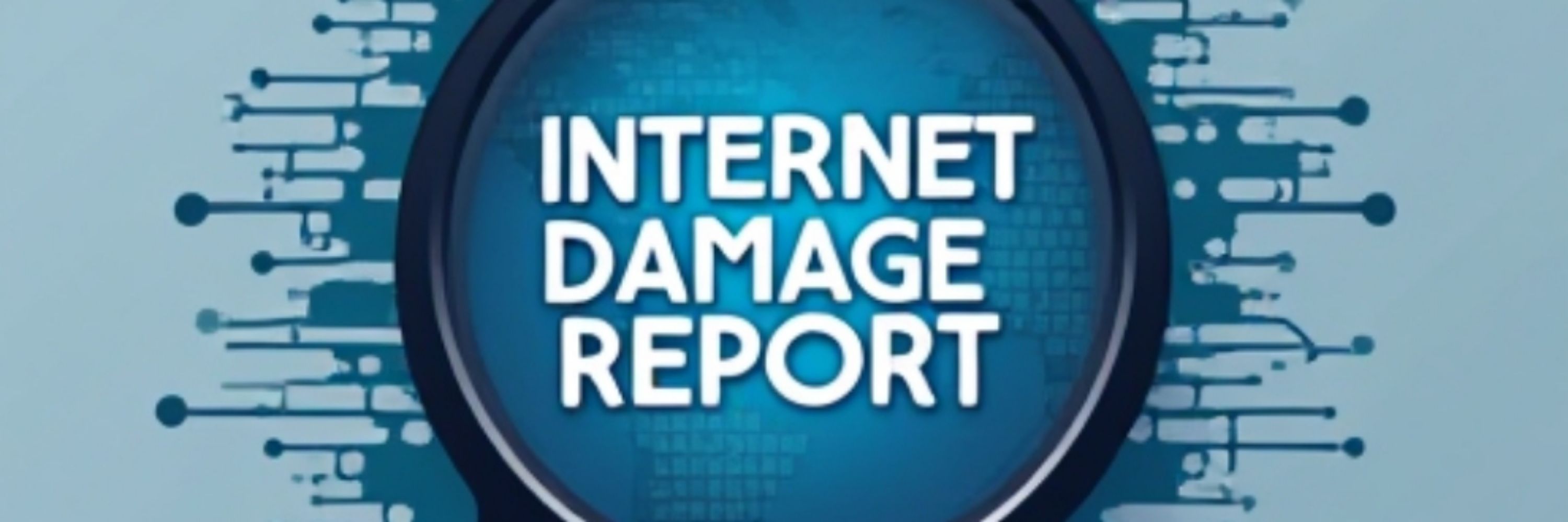 Internet Damage Report