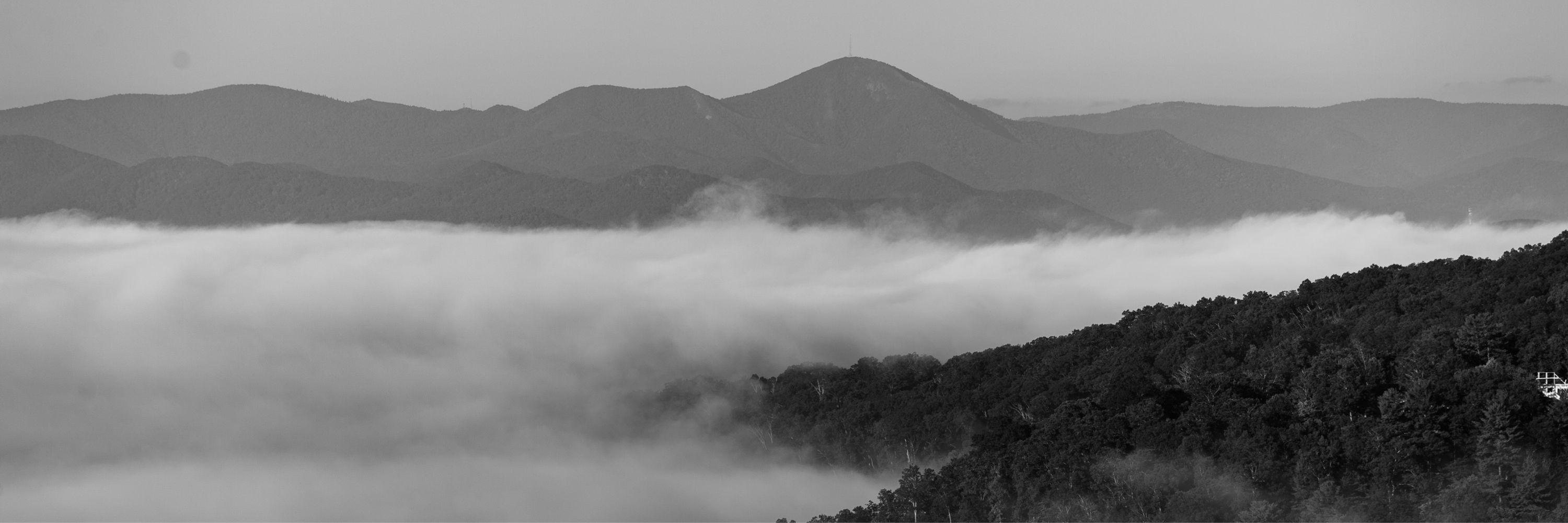 T.a.dunmire Photography