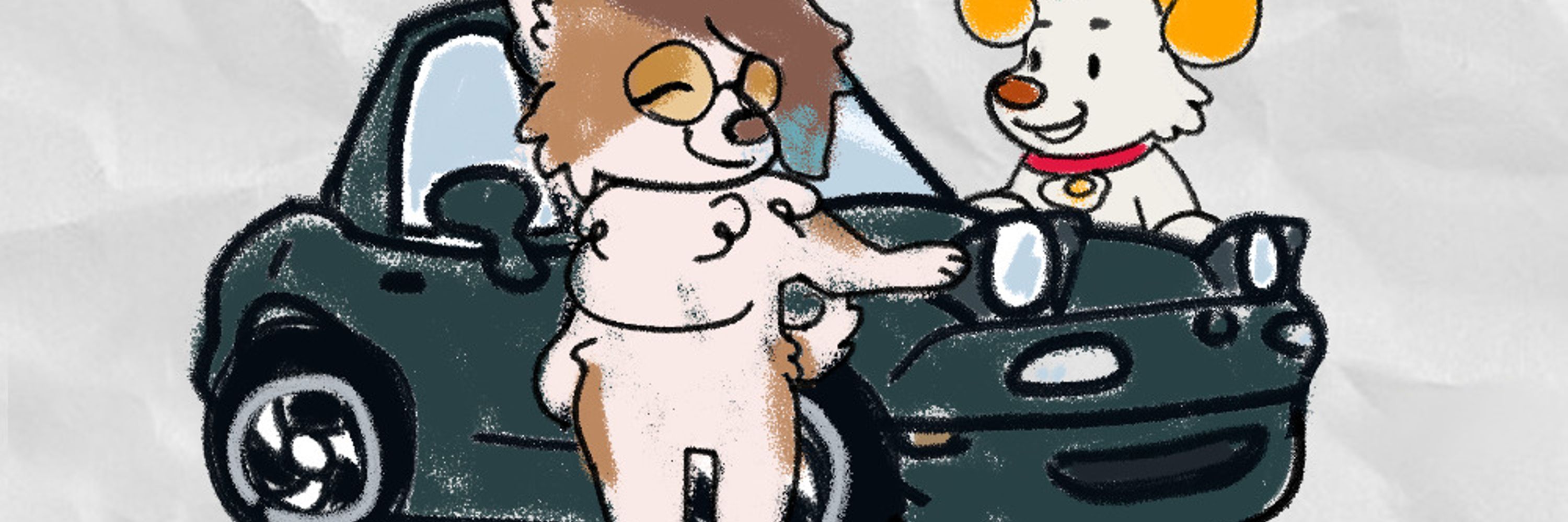 Connie Collie 🐕‍🦺