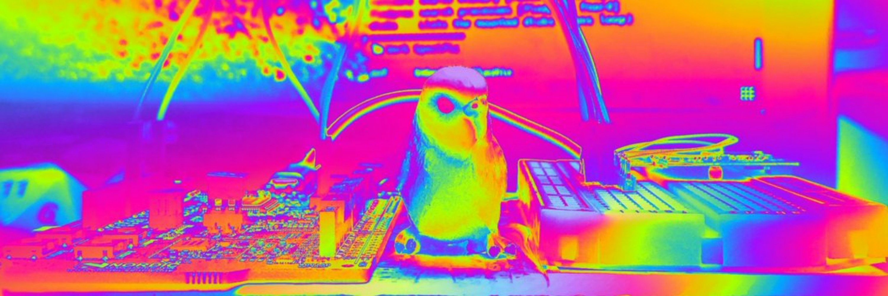 Birdie