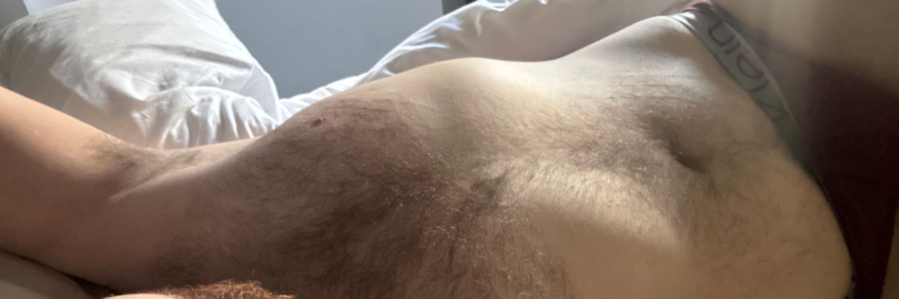 Gingerbredchi