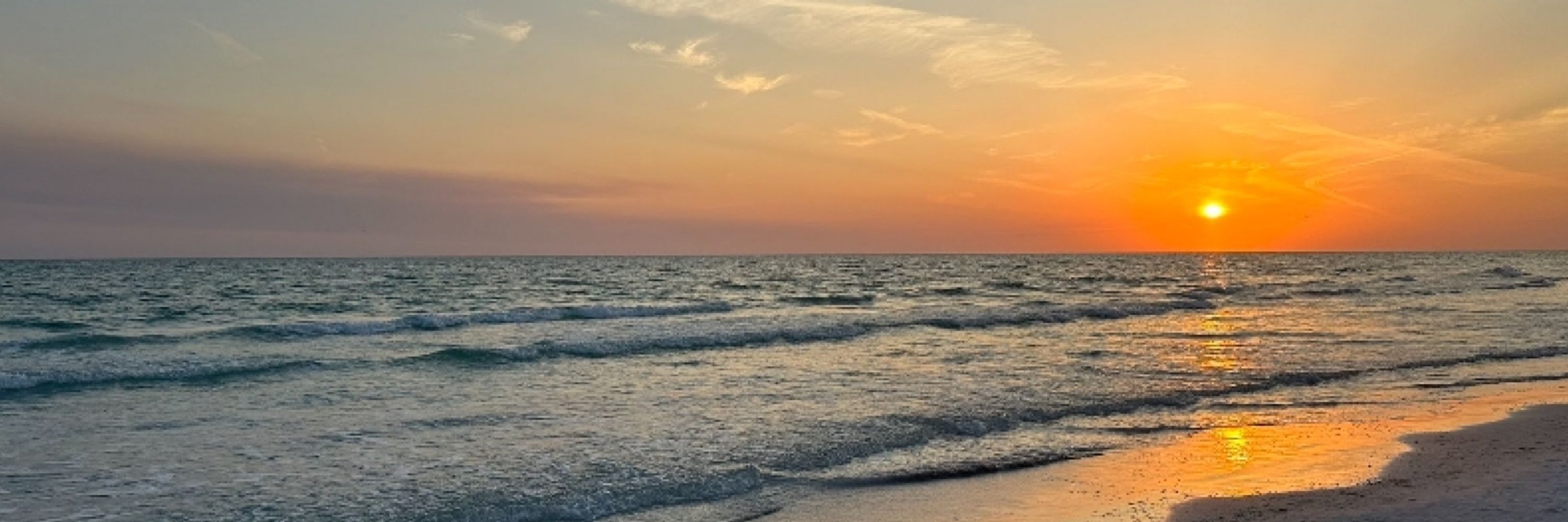 Postcards from Florida