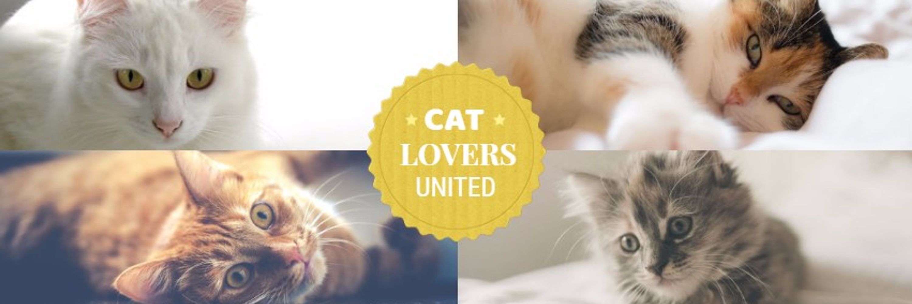 Cat Lovers United
